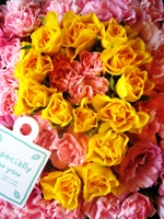 �a�����v���[���g�@�ԁ@�ޏ��@��e�@������