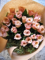 �a�����v���[���g�@�ԁ@�ޏ��@��e�@������