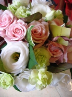 �a�����v���[���g�@�ԁ@�ޏ��@��e�@������