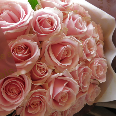 プロポーズ　プリザーブドフラワー　花束　大輪系　ピンクバラ　20本　花束