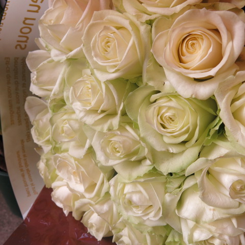 プロポーズ　プリザーブドフラワー　花束　大輪系　白バラ　20本　花束