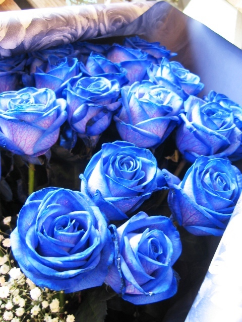 青色 バラ 青いバラの花束 本