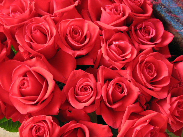 誕生日のプレゼント 赤バラの花束 サプライズ感あり フラワーギフト