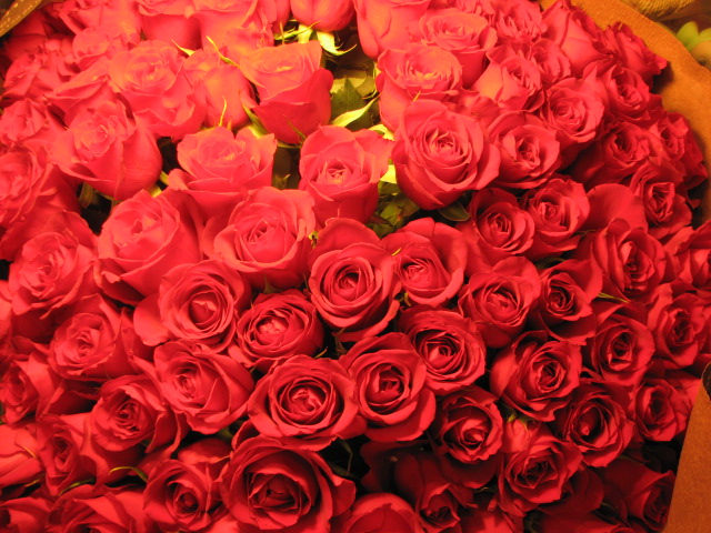 クリスマスプレゼント 花 赤バラ 花束 100本 サプライズ 100本 バラの花束