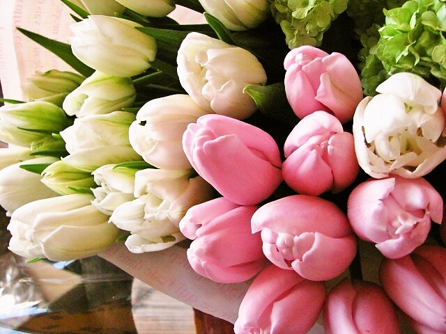 誕生日のプレゼント 宅配のフラワーギフト チューリップ入り花束 赤 ピンク 春の花